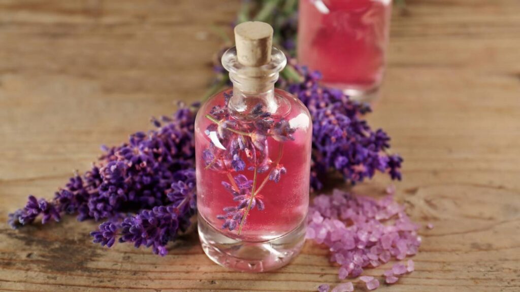 Planta que acalma, purifica o ar e favorece o sono tranquilo durante a noite