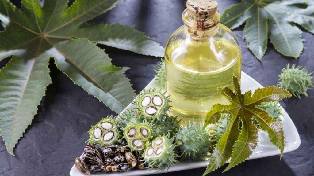 Esse óleo natural está deixando cabelos incríveis sem gastar muito