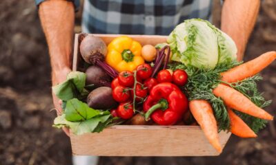 O legume que nutricionistas recomendam para fortalecer a saúde do coração