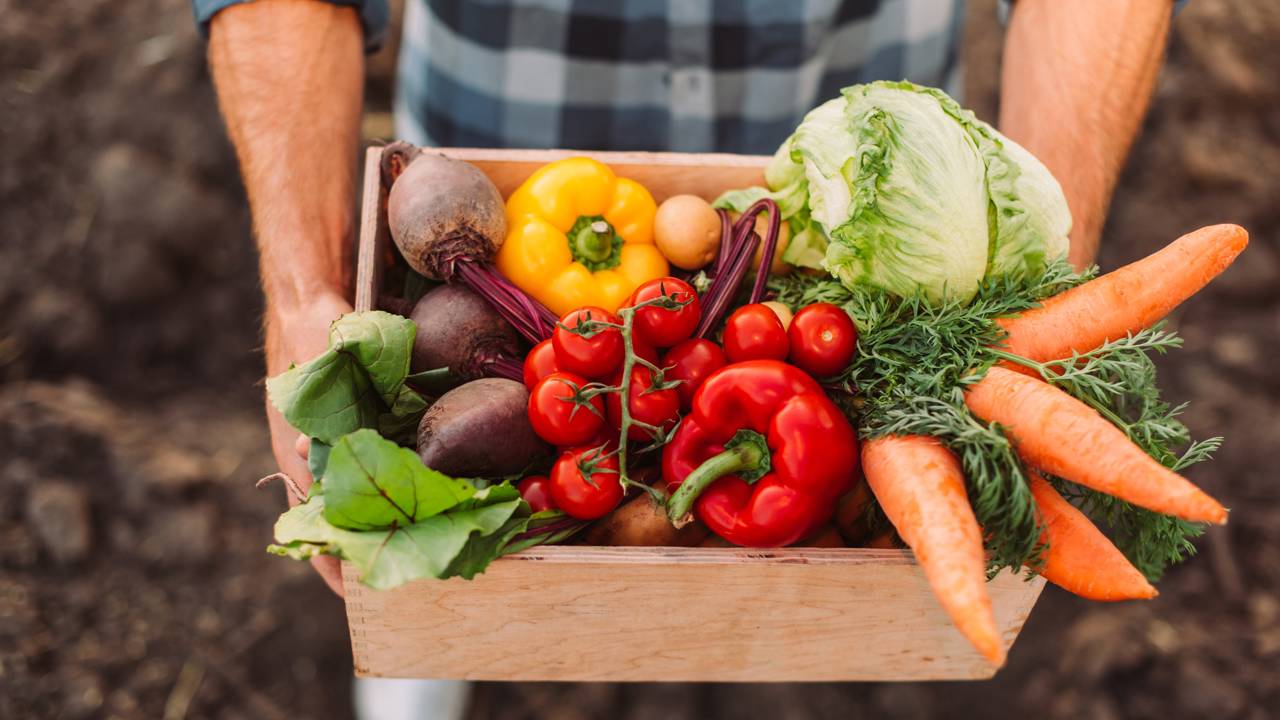 O legume que nutricionistas recomendam para fortalecer a saúde do coração