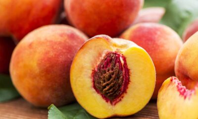 Quanto custa plantar pêssego e colher frutos suculentos em casa