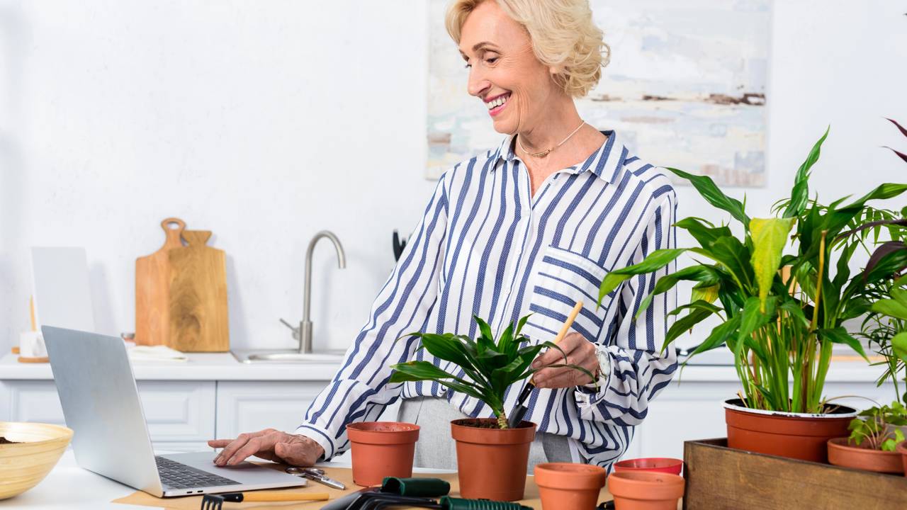 A fruta que não precisa de quintal para florescer e dar frutos