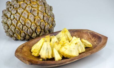 Como plantar araticum e colher em regiões de clima tropical