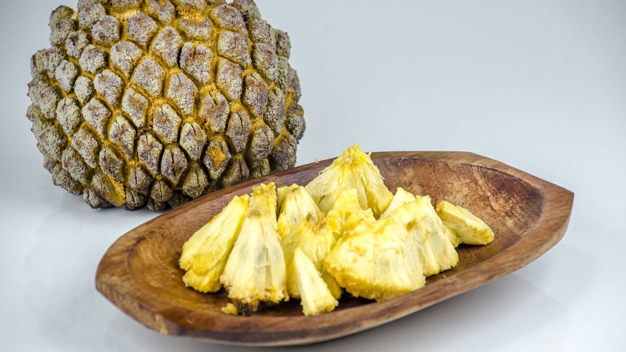 Como plantar araticum e colher em regiões de clima tropical