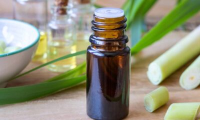 O poder da citronela no combate a pernilongos e mosquitos do verão