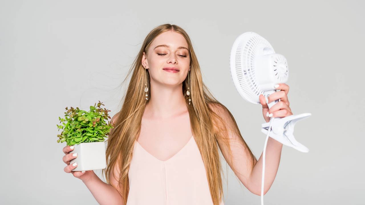 Flores que resistem ao calor e ainda decoram com charme natural