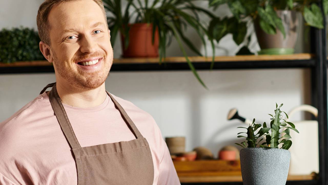 Como criar um cantinho de plantas que exige pouca manutenção