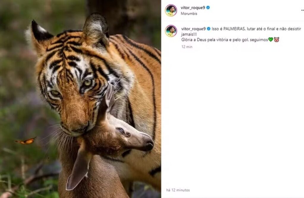 Vitor Roque pode ficar fora do Brasileirão por uma postagem nas redes sociais