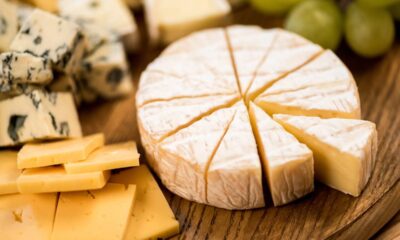 Como manter queijos frescos sem mofar na geladeira