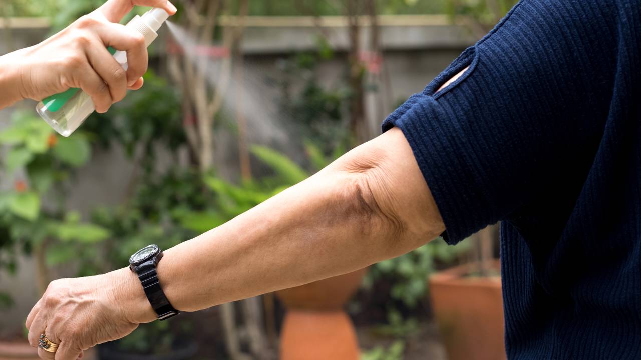 5 ervas que funcionam como repelente natural e fácil de cultivar