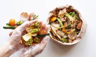 Muita gente joga fora, mas isso vira um adubo incrível