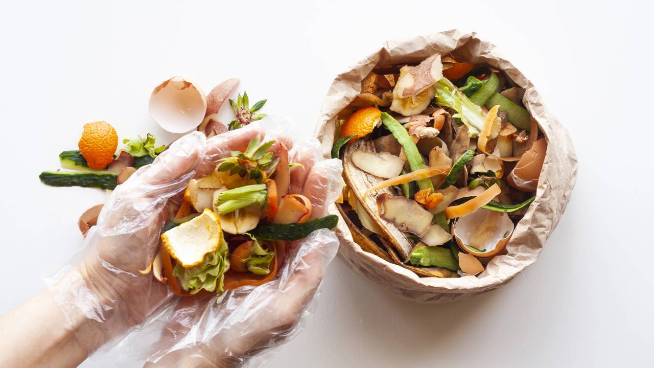 Muita gente joga fora, mas isso vira um adubo incrível