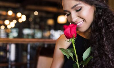 Uma rosa vermelha no lar pode carregar um significado mais profundo do que parece