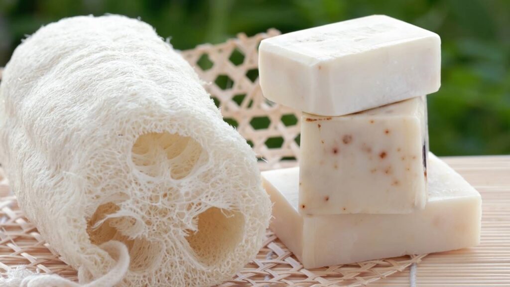 O sabonete vegetal que está conquistando quem ama autocuidado