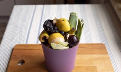 Aqui em casa comecei a usar esse adubo e as plantas ficaram lindas