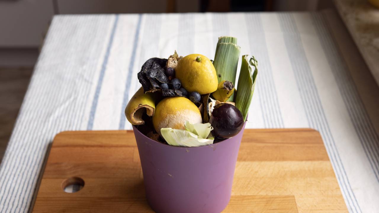 Aqui em casa comecei a usar esse adubo e as plantas ficaram lindas
