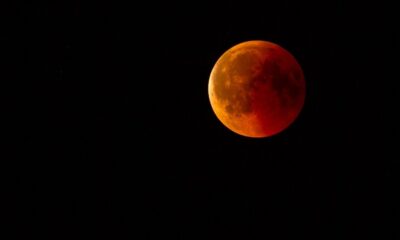 Superlua promete espetáculo raro no céu brasileiro nesta quarta (5)