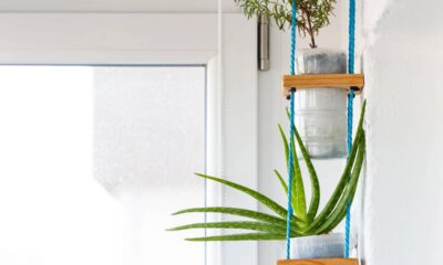 Montei um suporte de plantas suspenso com corda e ganchos