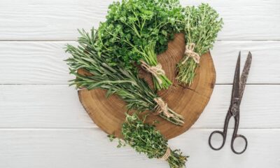 Como congelar temperos verdes e manter o sabor original