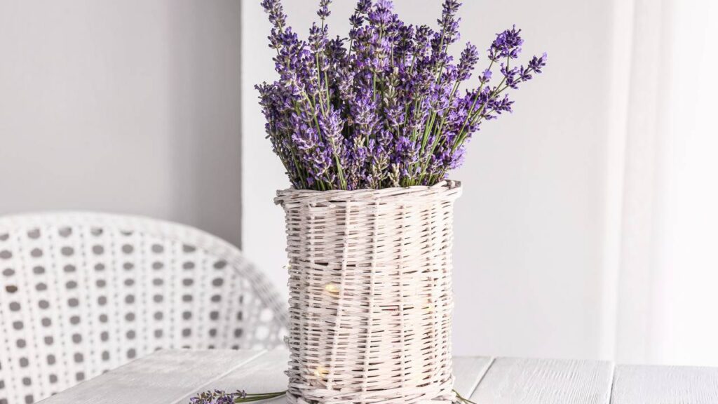 O truque da lavanda para espantar moscas e deixar o quarto perfumado