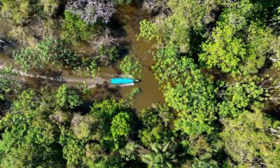 Os 7 mistérios da Amazônia que desafiam a ciência