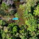 Os 7 mistérios da Amazônia que desafiam a ciência