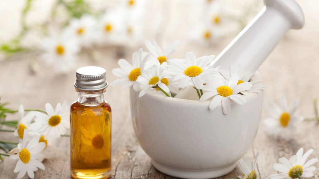 Essa erva aromática afasta moscas e ajuda a relaxar à noite