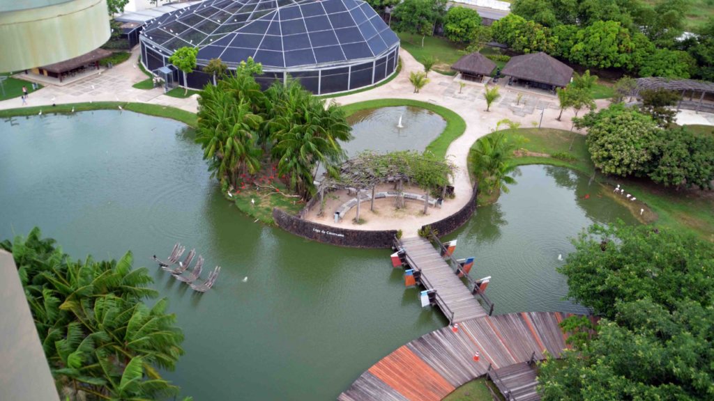 A metrópole da Amazônia que se destaca ao unir desenvolvimento e natureza exuberante