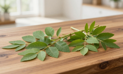 Essas plantas ajudam a afastar cupins e ainda protegem móveis de madeira em casa