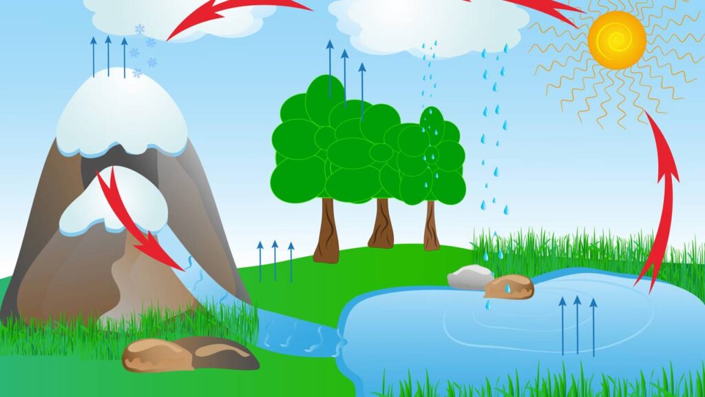 Esse fenômeno natural acontece todos os dias nas plantas e quase ninguém percebe