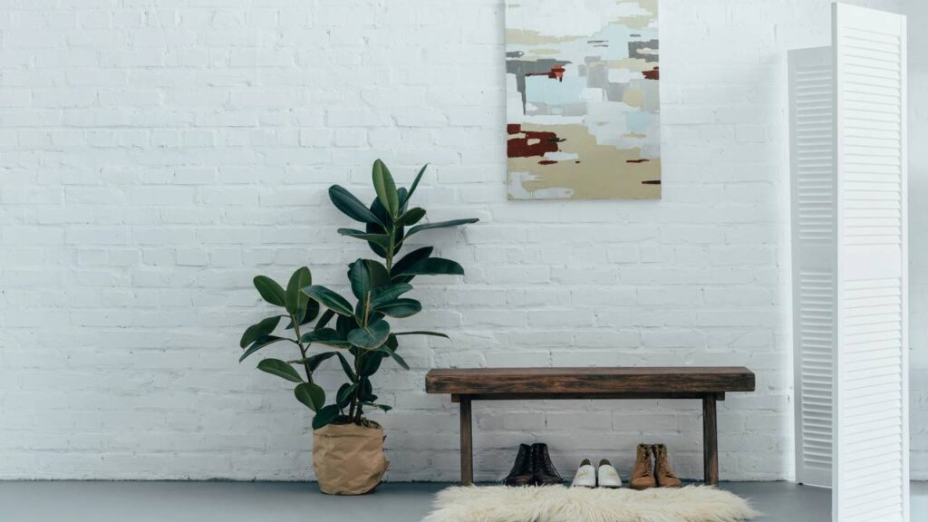 O Ficus carrega uma energia silenciosa que muda a forma como o ambiente funciona