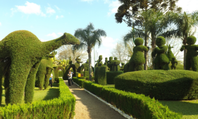 Uma cidade no RS ganhou fama graças a um jardineiro de 89 anos que esculpiu uma praça inteira