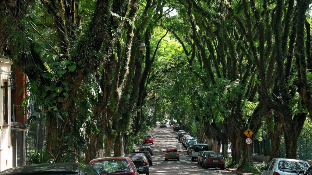 Pouca gente sabe, mas a “rua mais bonita do mundo” fica em uma cidade brasileira perfeita para viver bem