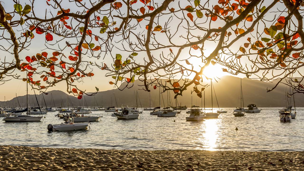 A ilha paulista onde a Mata Atlântica abraça praias de alguns dos cenários mais impressionantes do país
