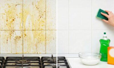 A melhor mistura caseira que derrete gordura da parede da cozinha