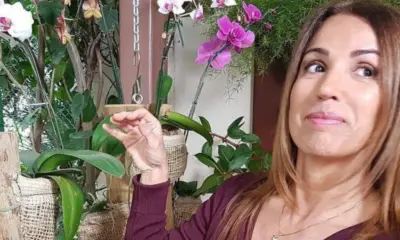 Saiba o verdadeiro estado da repórter da Globo que caiu da escada