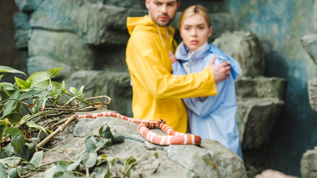 Esse animal percebe vibrações do solo antes mesmo que qualquer som seja ouvido