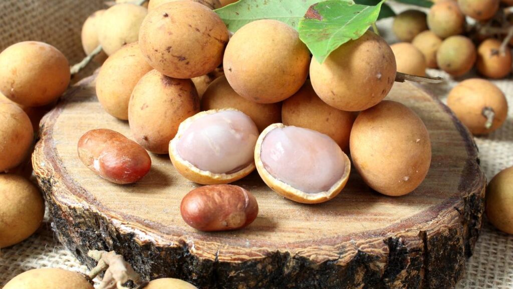 Pouca gente cultiva essa fruta nativa em casa e ela surpreende no sabor