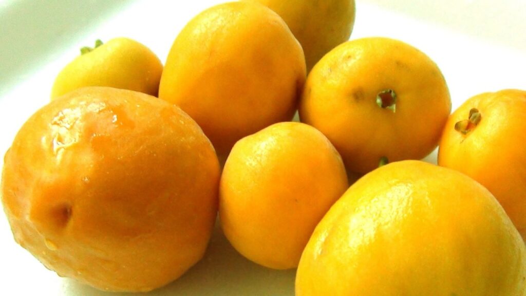 Essa fruta brasileira começa a produzir cedo e chama atenção no quintal