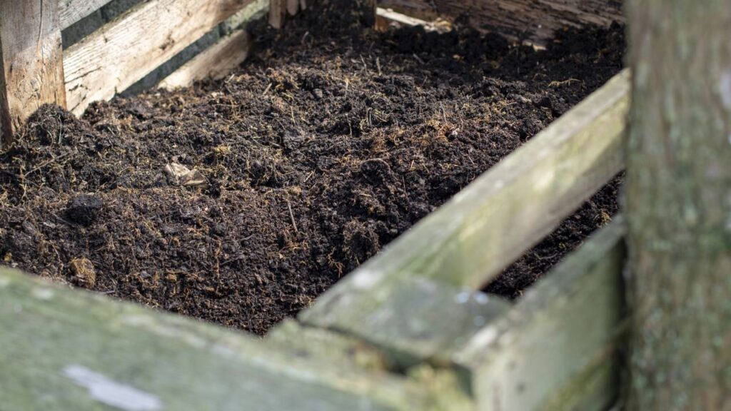 Esse adubo de hortaliças deixa o solo mais solto e fértil e faz as plantas crescerem com muito mais vigor