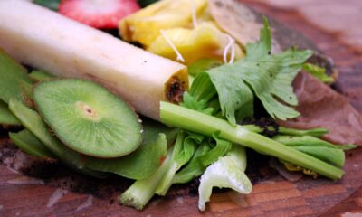 Esse adubo feito com sobras de frutas devolve vida às plantas e deixa o solo muito mais fértil