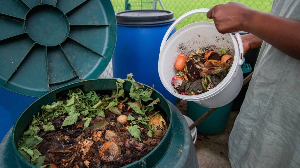 Misturar frutas e legumes pode virar um adubo natural eficiente para a horta