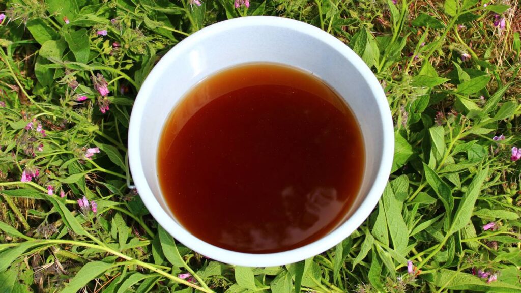 Esse adubo líquido ajuda folhas queimadas a recuperar o verde natural