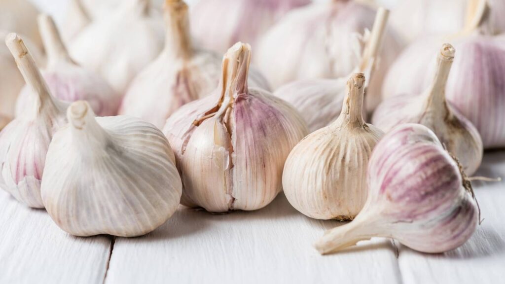Comer alho todos os dias pode provocar mudanças interessantes no funcionamento do corpo
