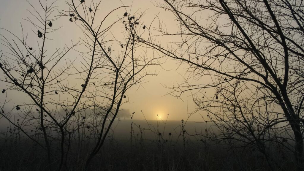 Por que o amanhecer no campo é mais frio do que na cidade e deixa o ar com aquela sensação de frescor natural