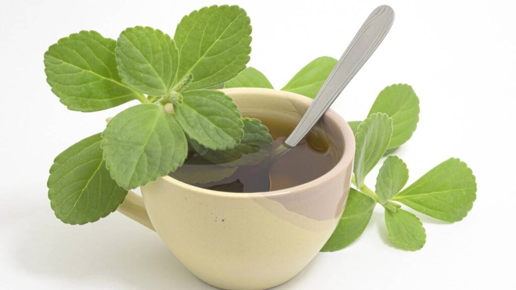 Uma planta discreta pode aliviar o estômago de um jeito surpreendente