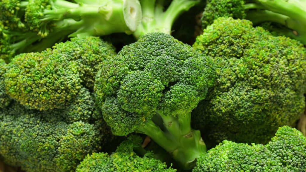O que acontece se você comer brócolis com frequência e por que pode surpreender quem evita esse alimento