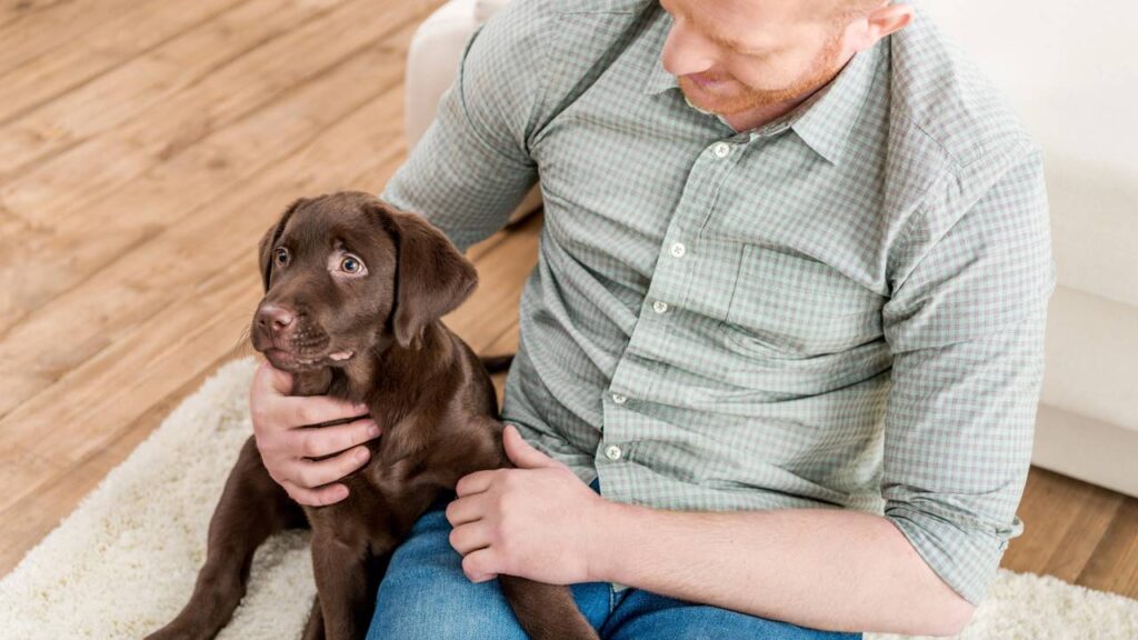 O animal que parece pressentir terremotos leves antes de qualquer sinal