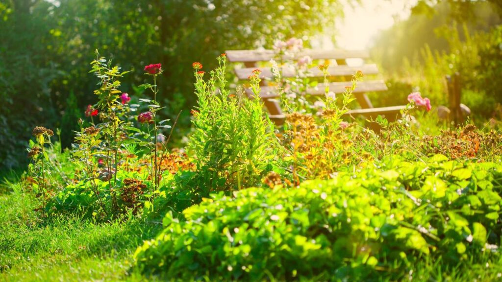 O motivo curioso que faz algumas flores crescerem viradas só para o leste