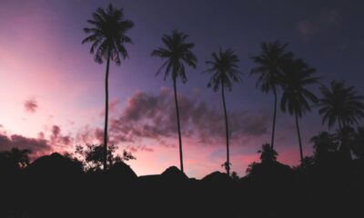 O fenômeno que faz o céu parecer rosa em dias de calor extremo e chama muita atenção